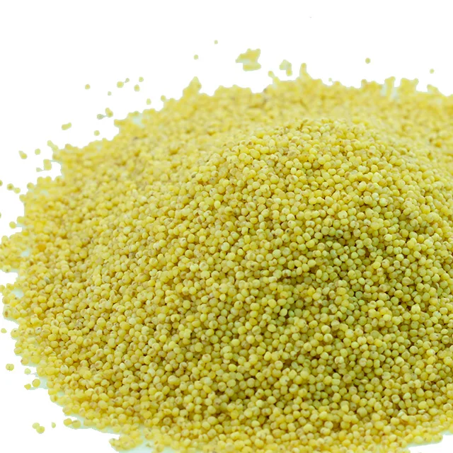 High Grade Wholesale New Crop bulk hulled yellow millet on sale