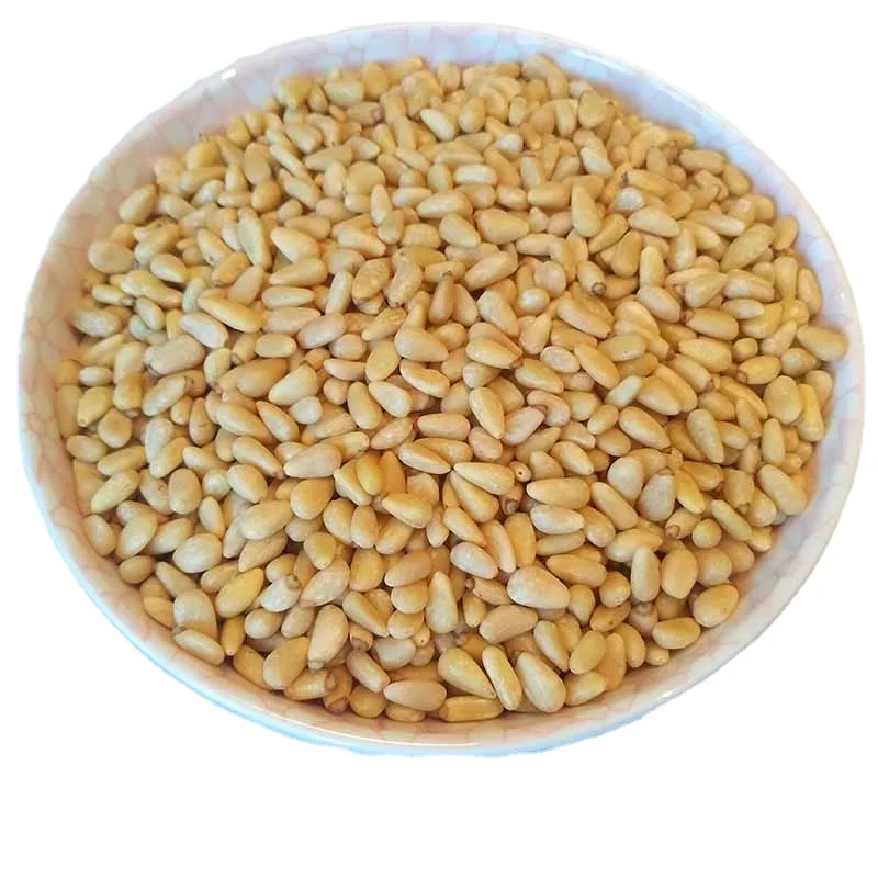 Supply China Dried Nuts and Dried Fruits Pine Nut Kernels Cedar
