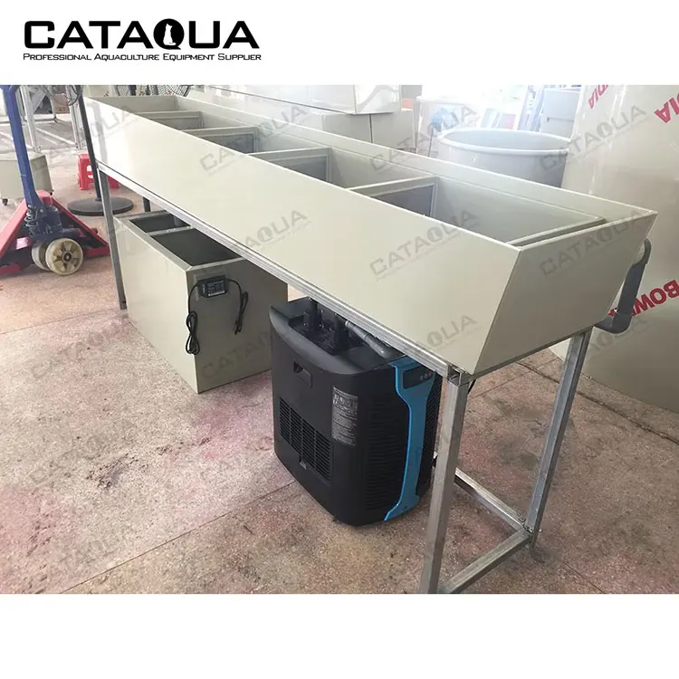 CATAQUA Fish Farming Incubator Equipment PP Plastic Material Fish Hatchery Incubator for Fish Hatching