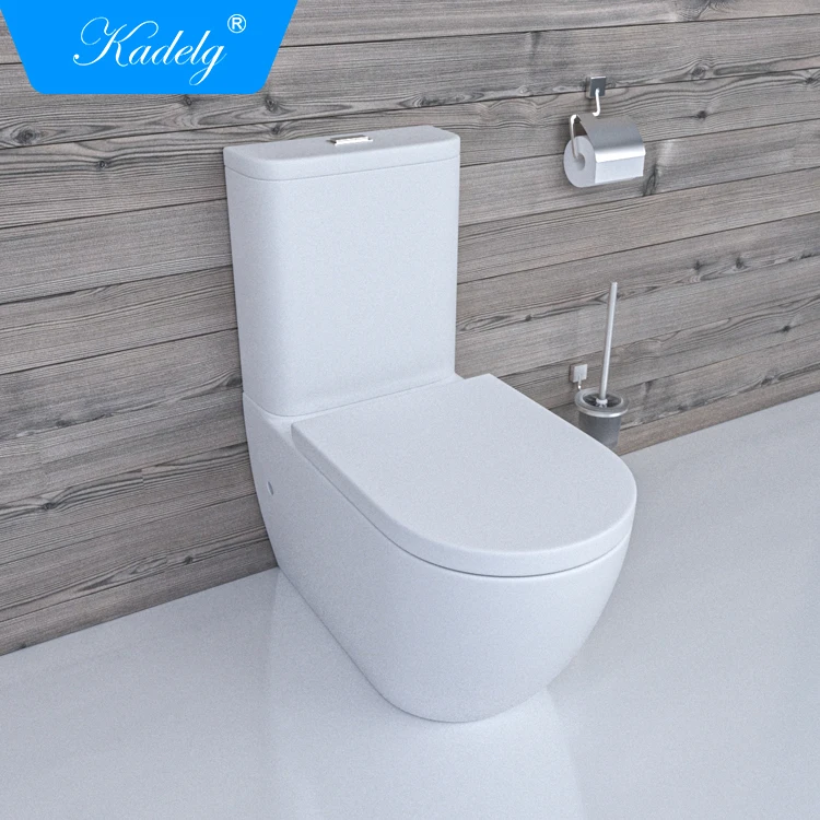 Ceramic Matt White Back To Wall Mounted Toilet Rimless Smart Toilet With Toilet Seat Cover