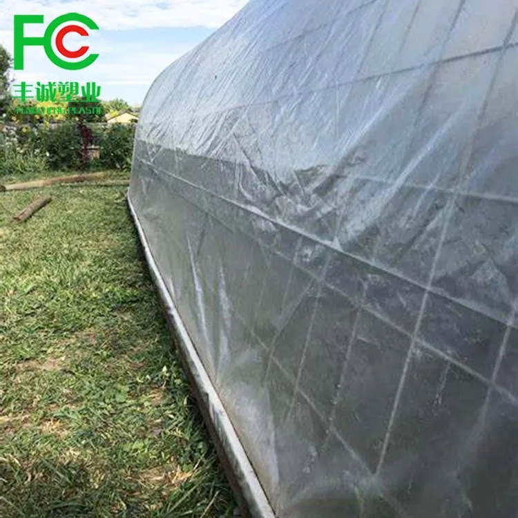Low cost greenhouse China factory manufacture covered plastic film in wholesale