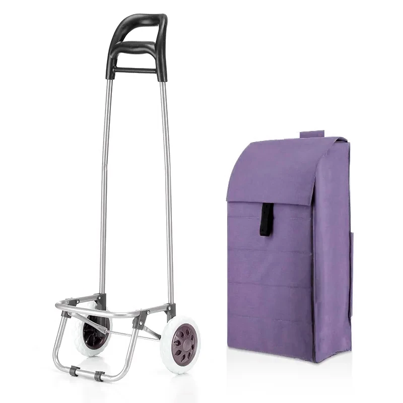 Shopping Trolley Bag Manufacturer china mini Collapsible Rolling shopping baskets vegetables cart with metal frame smart