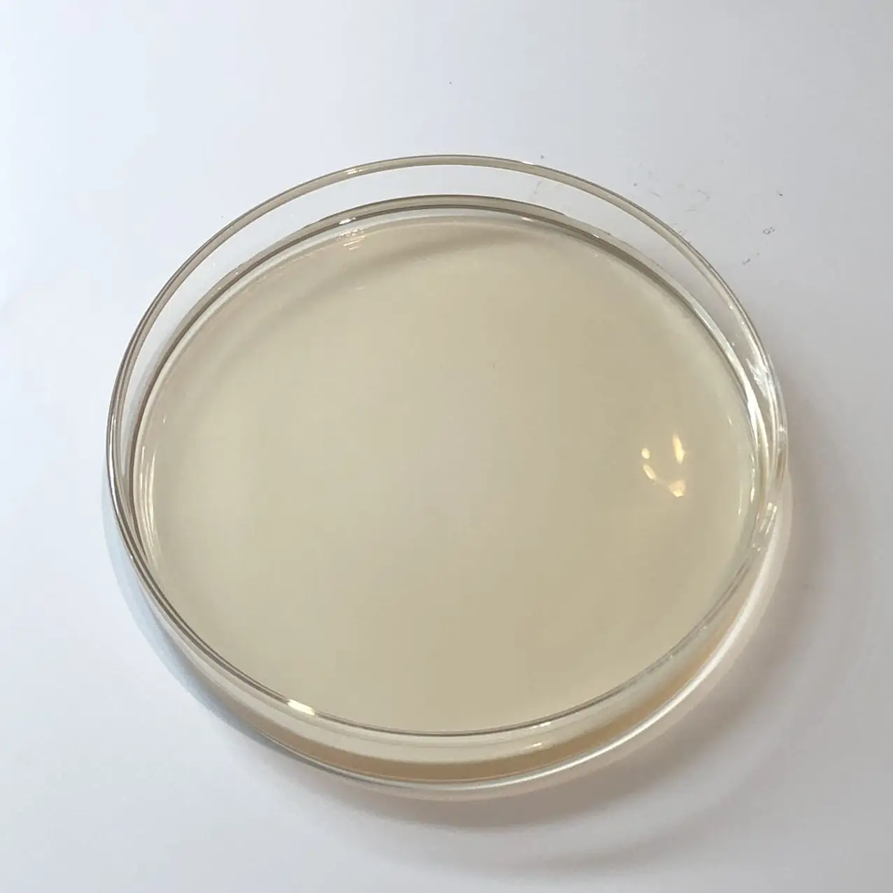 amino acid organic Liquid plant fertilizer biostimulant agriculture fertilizers leaf fertilizer amino acid organic Liquid