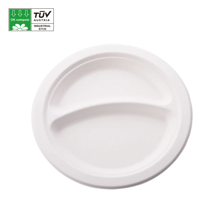 Divided Compostable bagasse sugarcane tray 3 compartment bagasse plates