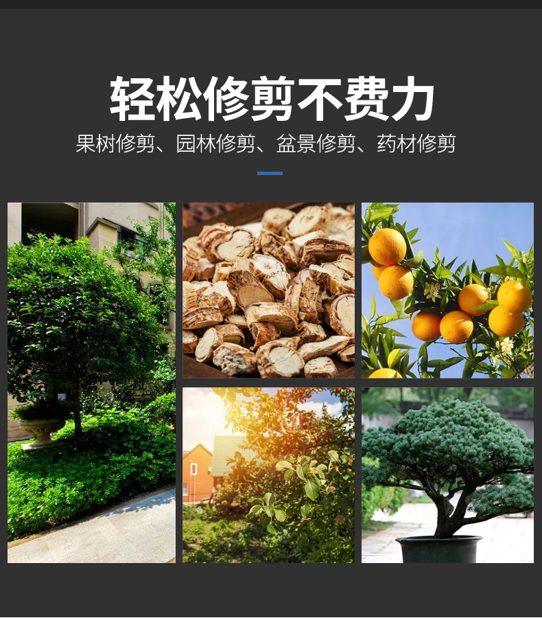 Cordless Branch Cutters Battery Shears Pruning Electric Scissors for Trimming Buds