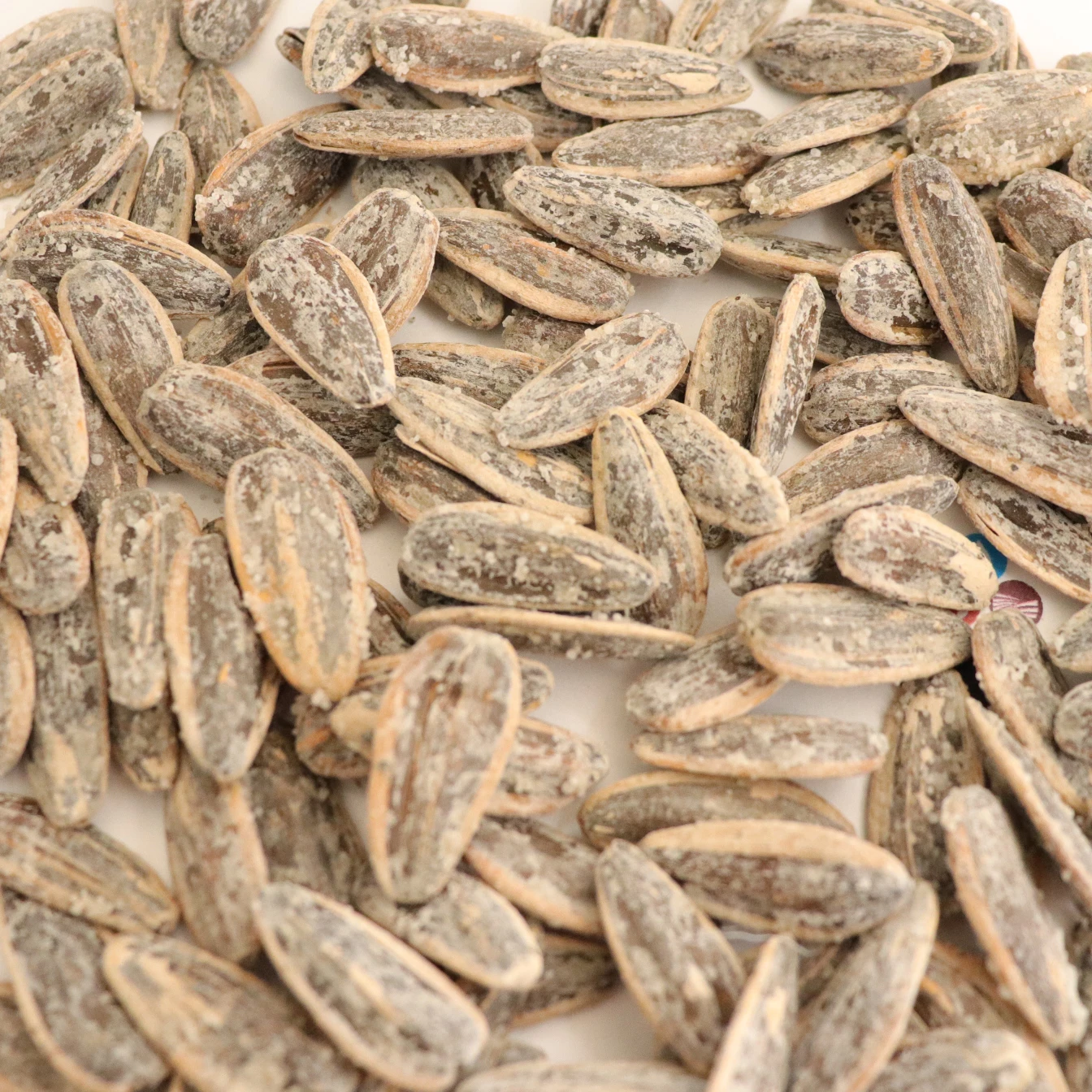 Custom Packaging And Logo Sunflower Seeds Walnut, Date, Coco Nut, Caramel, Pecans, Cream, Sea Salt Flavor Roasted Sunflower Seed