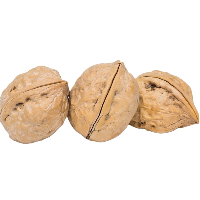 Лидер продаж, Китайский орех, органический орех Синьцзян, мытый орех xingfu