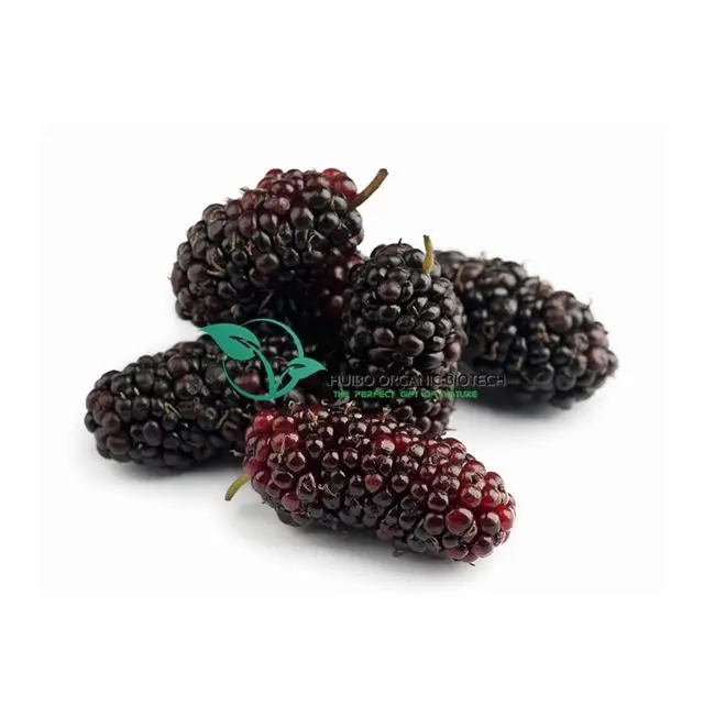 Blackberry powder / instant blackberry powder for drink