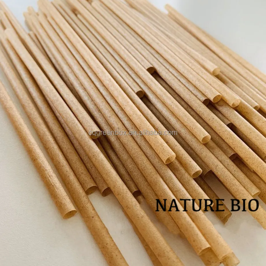 Eco disposable PLA non-plastic Degradable sugarcane bagasse drinking straw