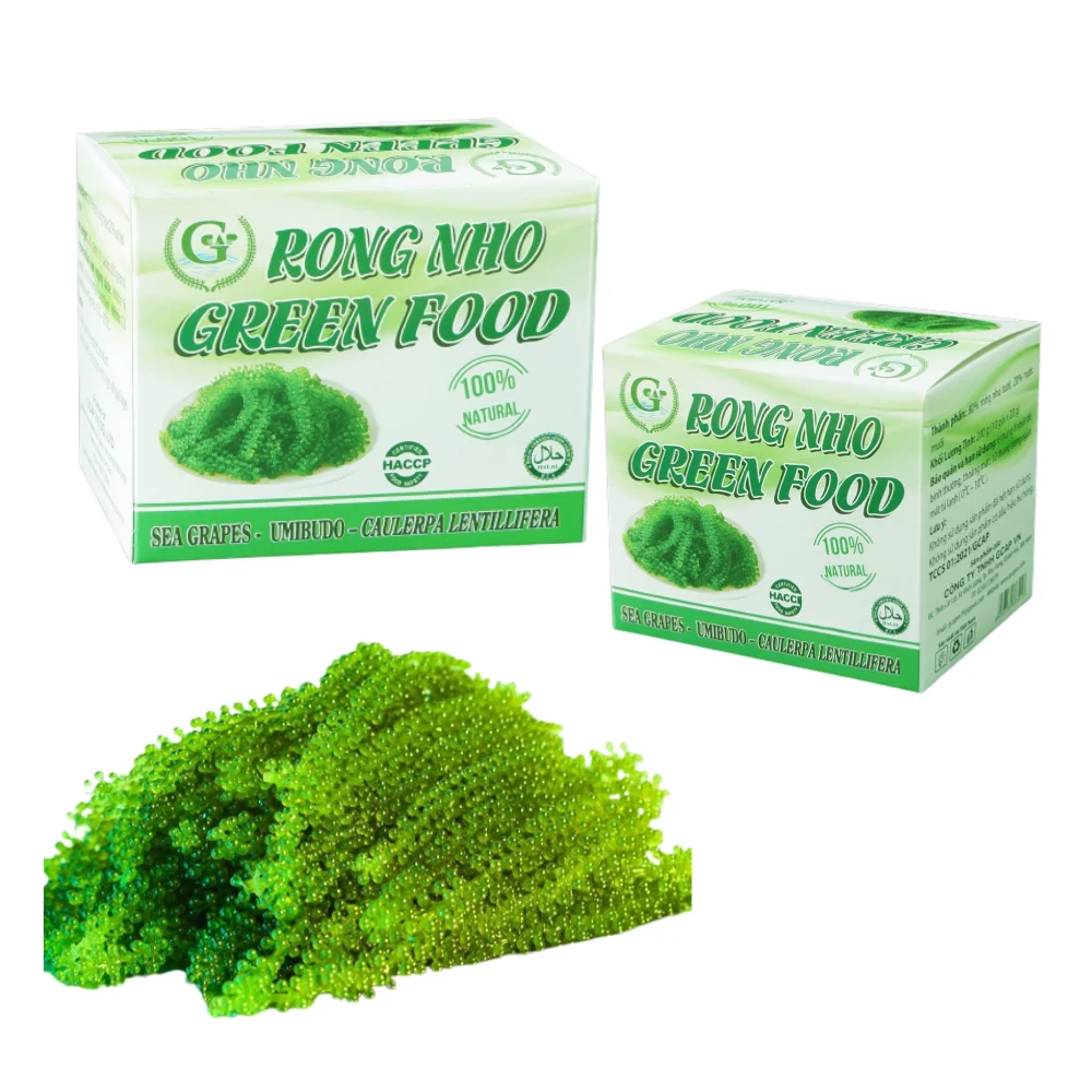 High Nutritious Vegan Sea Grapes Meal Haccp Certified Dried Nori Style Hot Selling from Vietnam in Carton Box Packaging