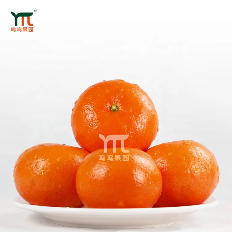 
Factory Direct Wholesale Fresh Fruit Yellow Orange Green Citrus Fruit 