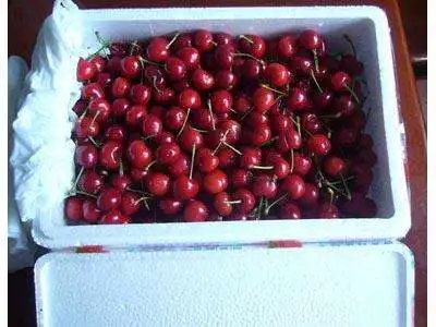 China EPS styrofoam customized size protective packaging insulated shipping box for fruit vegetable fish