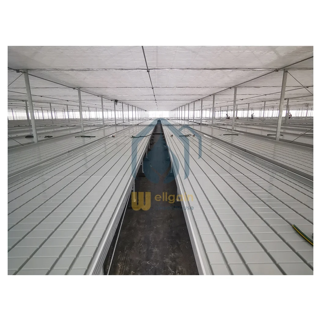 Agriculture hydroponic ebb and flow growing tray ABS big flood tray 2*4ft/4*8ft large bandeja hemp nursery seedbed