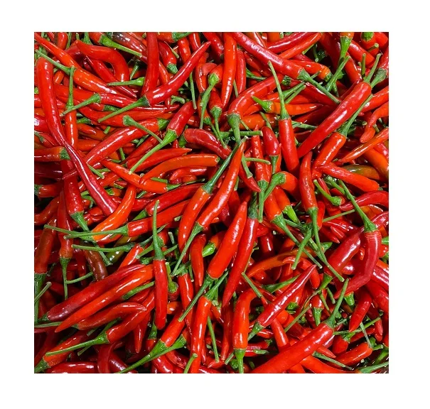Hot Fresh/ Frozen Chili CHINA - Red Spicy Fresh Chili - High quality chili at wholesale price and free tax