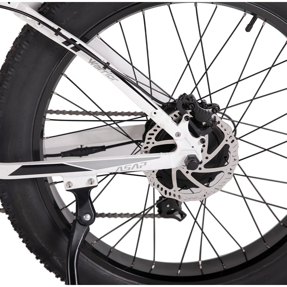 Equipped 26 Inch Fat Tire Support Multi-Terrain Riding Using 750W Bafang Motor Powerful Adult Electric Mountain Bike