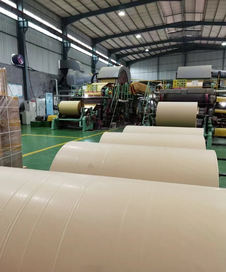 Ivory Board/SBS Board FBB Coated Craft Paper for Tea Packaging Single Side Coating on Cardboard for Paper Cups and Cups