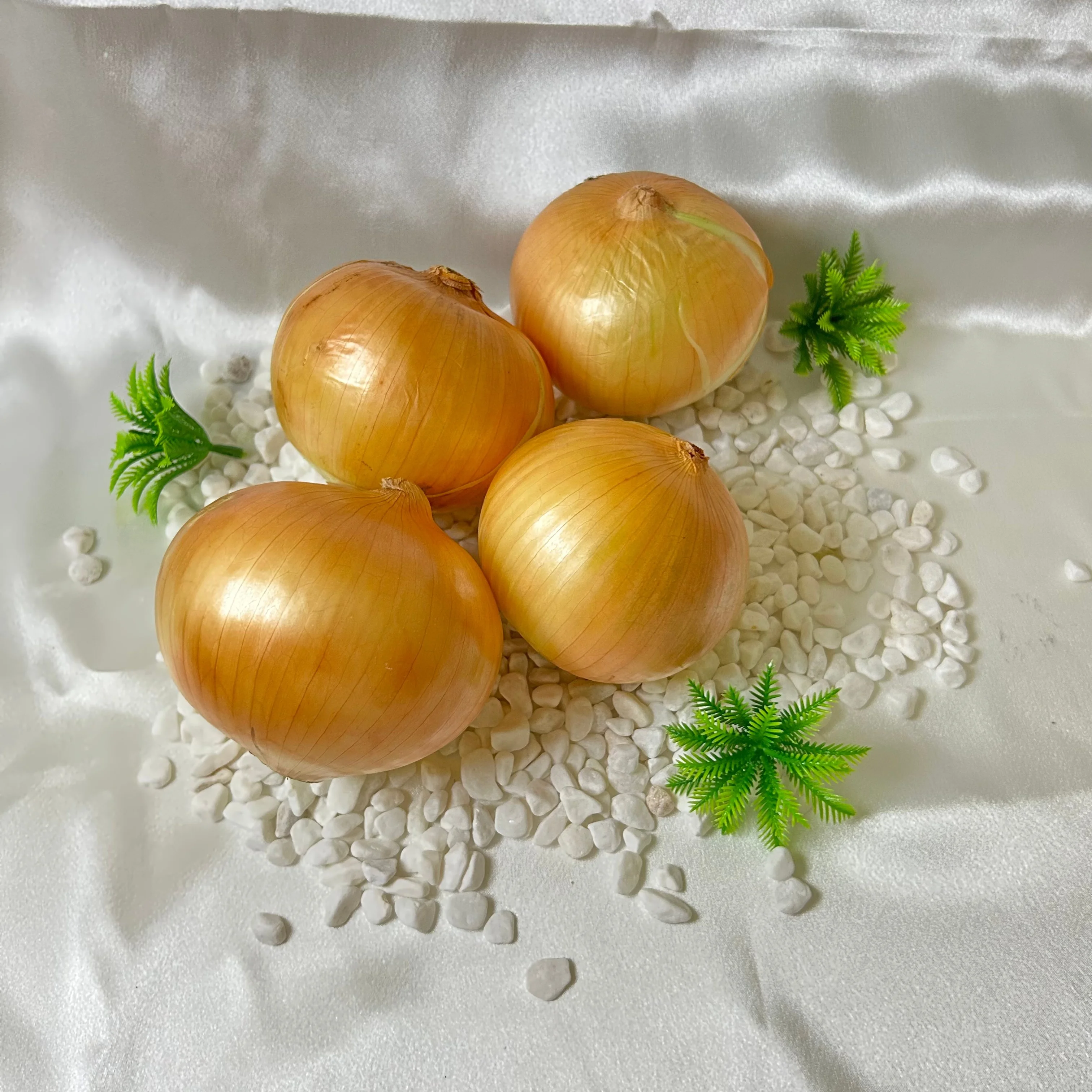 High Quality Yellow Onion New Crop China Fresh Yellow Onion Low Price Natural Healthy Yellow Onion Wholesale