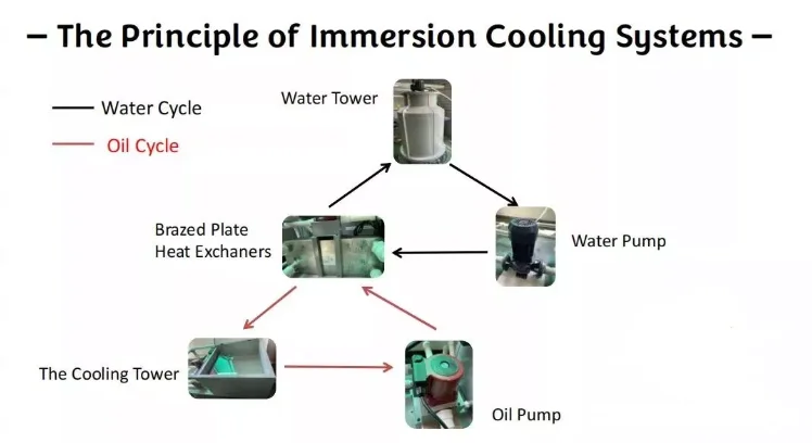 paste-pic-dp_uuid_yartp