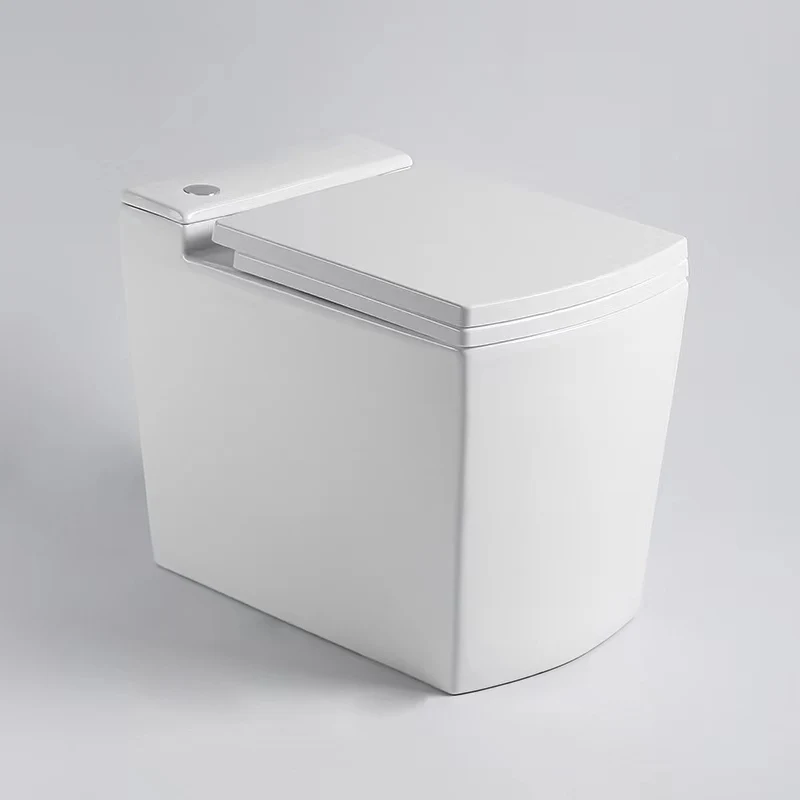 Modern Minimalist toilet Bathroom smart toilet dedicate toilet