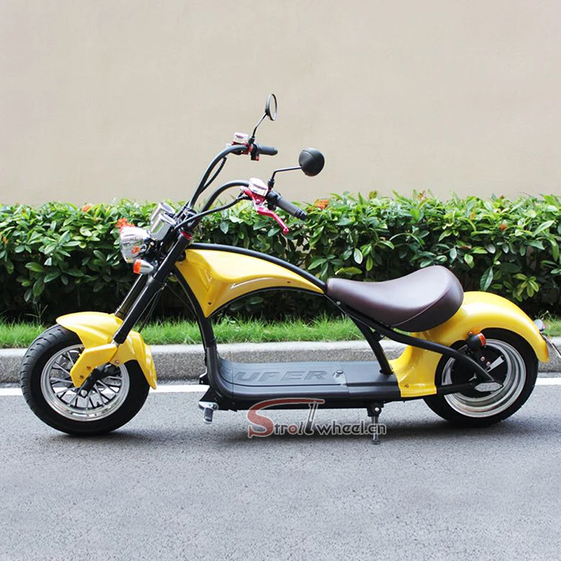 Holland Warehouse New EEC/COC Citycoco 3000W Homologation Electric Scooter With Removable Lithium Battery