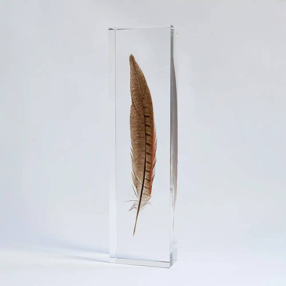Acrylic Home Display Feather Embedded Specimens Crafts Block Lucite Pheasant Feather Specimen Paperweights