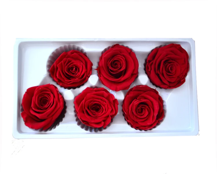 
Long Lasting Roses Kunming Yunnan 5-6cm Real Touch Rose Flower Head For Flower Wall 