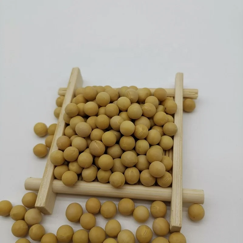 New Crop wholesale soybean seeds China origin bulk soybeans wholesale