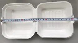Biodegradable 450 ml  6 x 6 inch Sugarcane Bagasse Burger Box