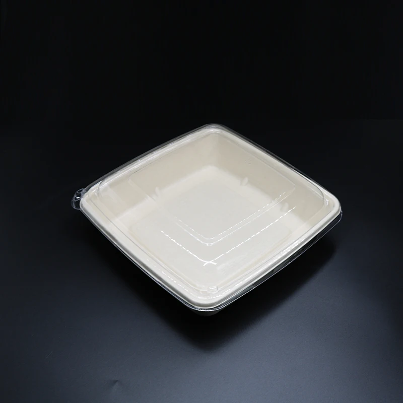 8*8-inch 1000ml/32Oz Square Environmental Biodegradable Takeaway Disposable Recycled Food Container Sugarcane Bento BOX