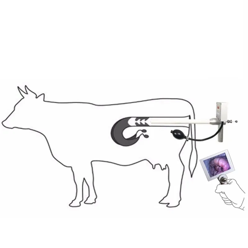 Durable Veterinary Products  Handheld Artificial insemination gun For Animal cattle Pig sheep dog poultry