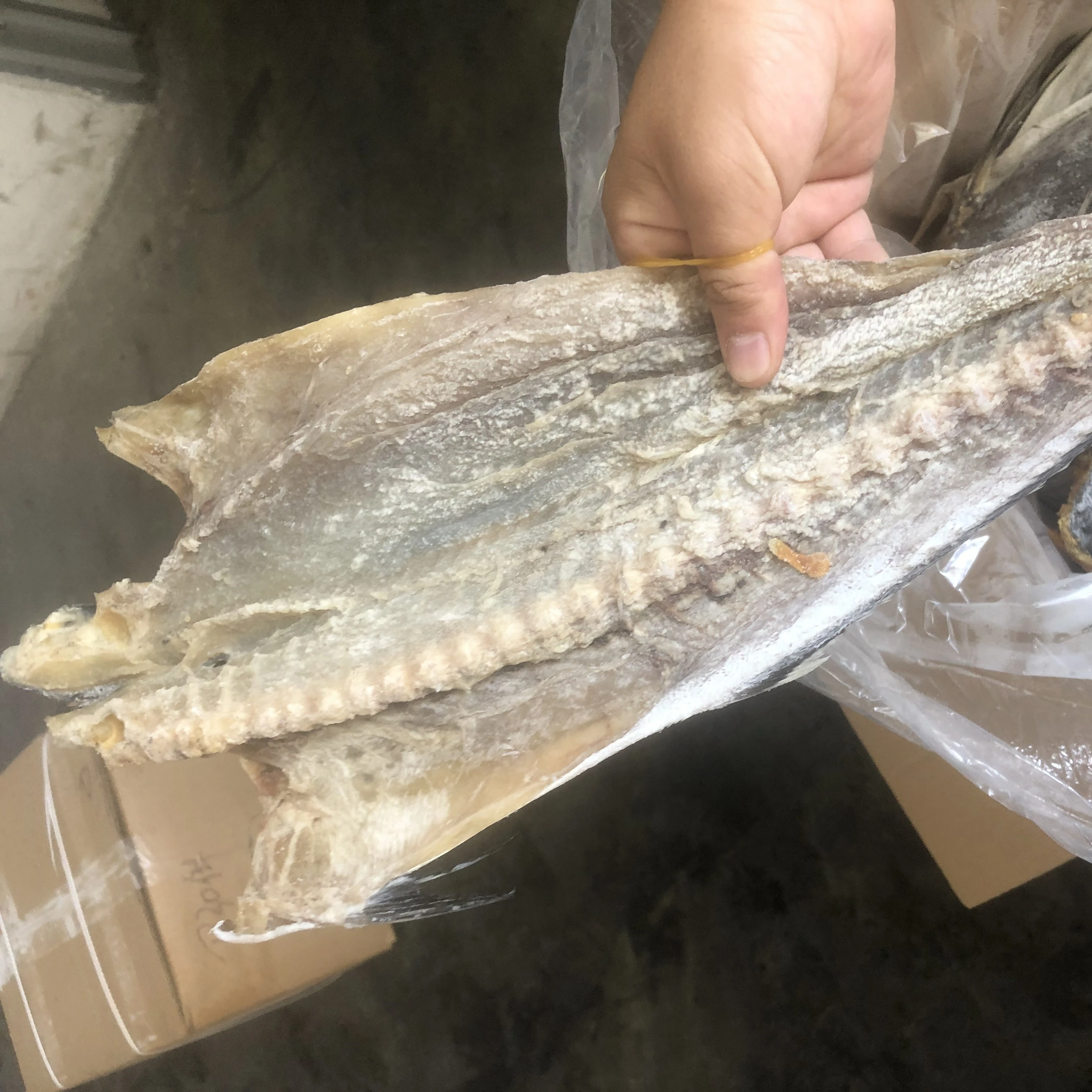 dried salted  mahi mahi Fish dry