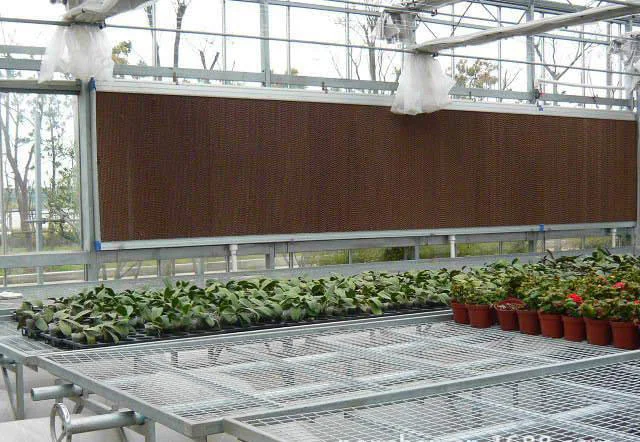 Polycarbonate gutter connected  tomato greenhouse philippines