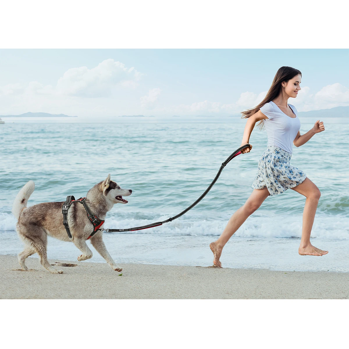 HanYang OEM Custom reflective neoprene double handle dog leash Durable Strong Reflective Nylon Heavy Duty Dog Leash