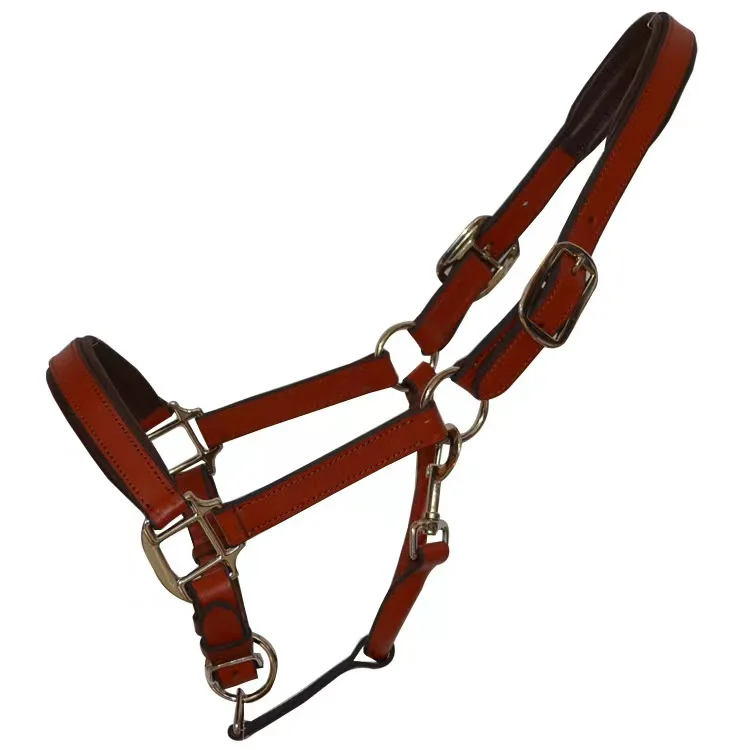 NEW ARRIVAL PVC Halter Horse Harness Riding Equipment Head Collar Leather  Bride Horse Foal Halter Rack