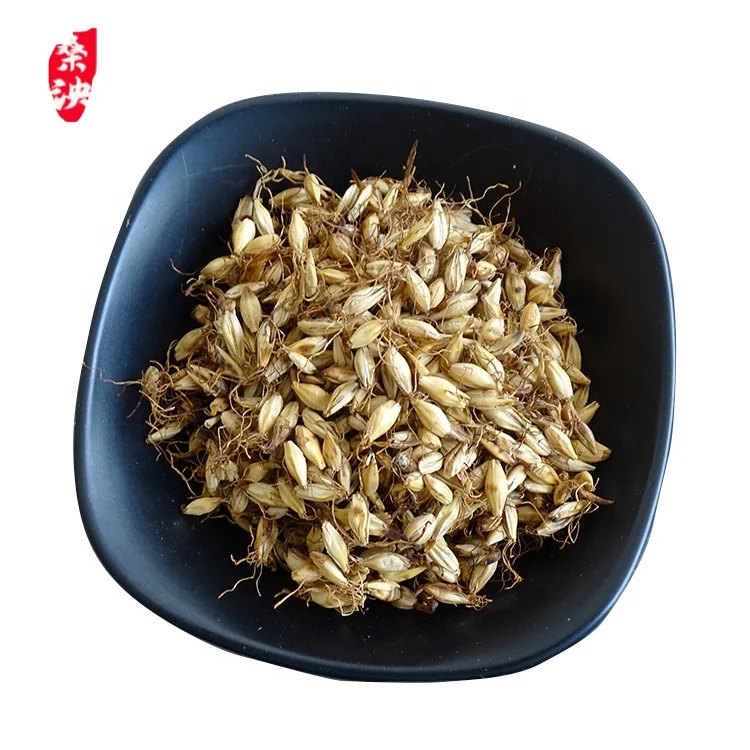 Organic and natural harvesting and frying malt for food accumulation