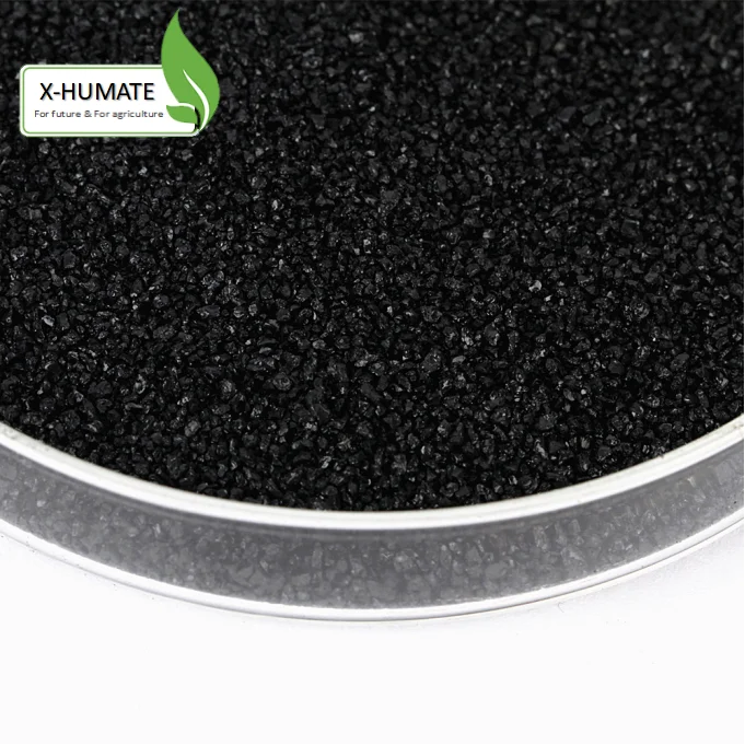 
X-humate Black granular/powder/flakes 90% feed fertilizers for banana fertilizer chicken manure 