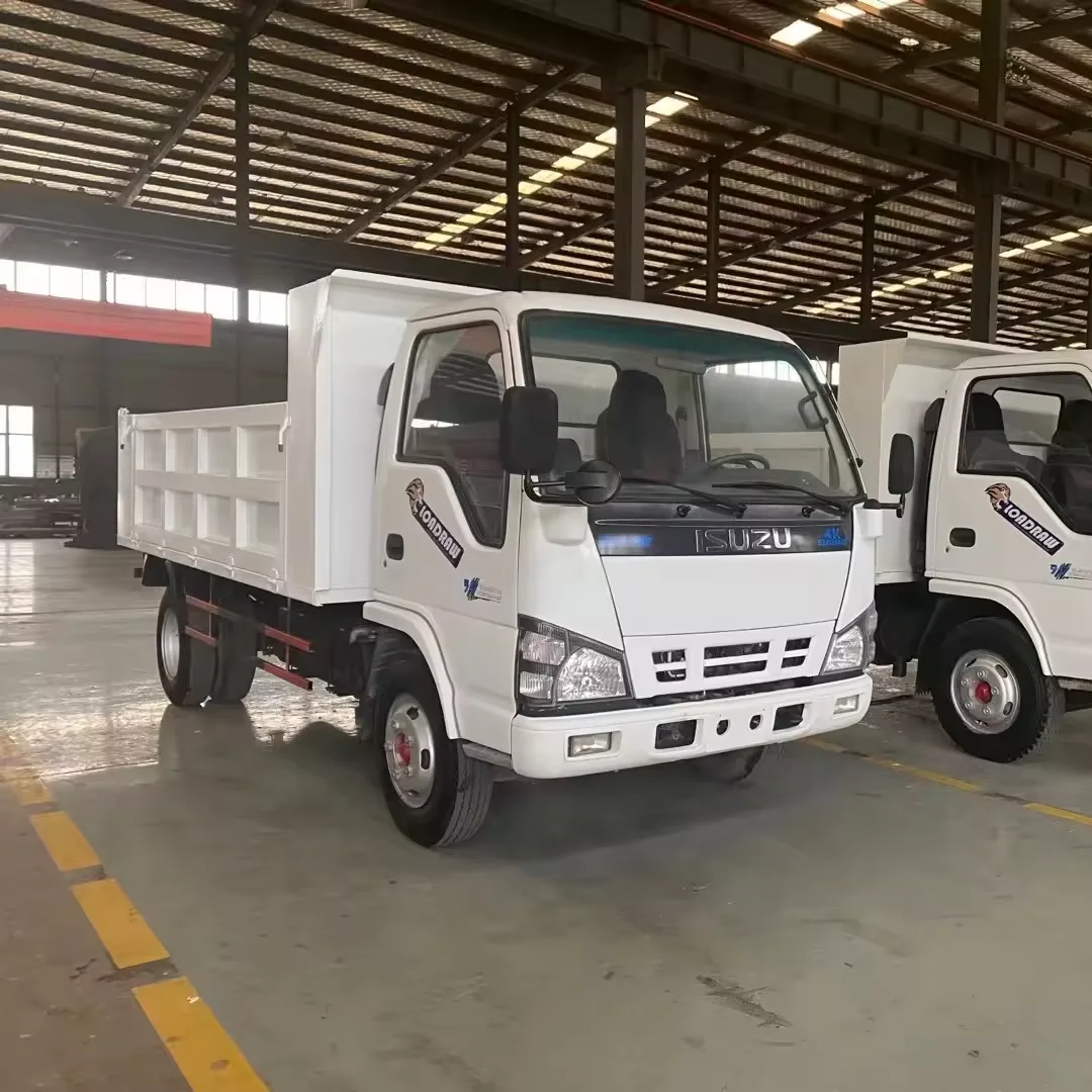 Low price used howo isuzu dump truck 4x2 WP engine diesel mini dump truck 4x2 4x4 10ton Mini Light Cargo Isuzu Truck