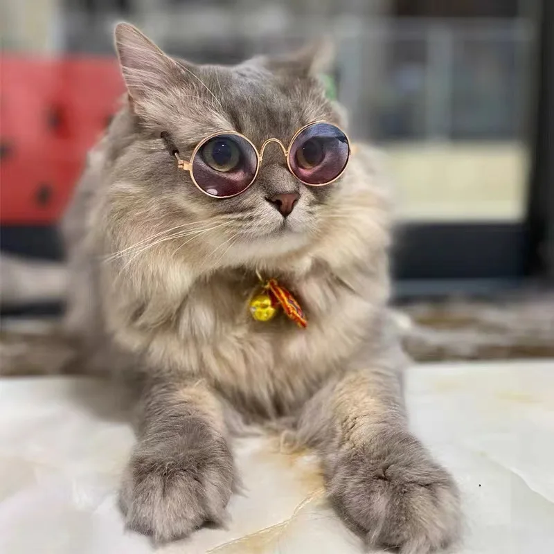 Wholesale Cool Lovely Pet Accessories Sunglasses Pet Cat Sunglasses Funny Pet Metal Cat Eye Sunglasses