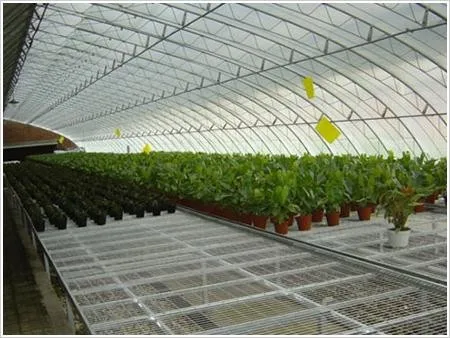 Hydroponic Greenhouse Equipment Hot Dip Galvanized Mesh