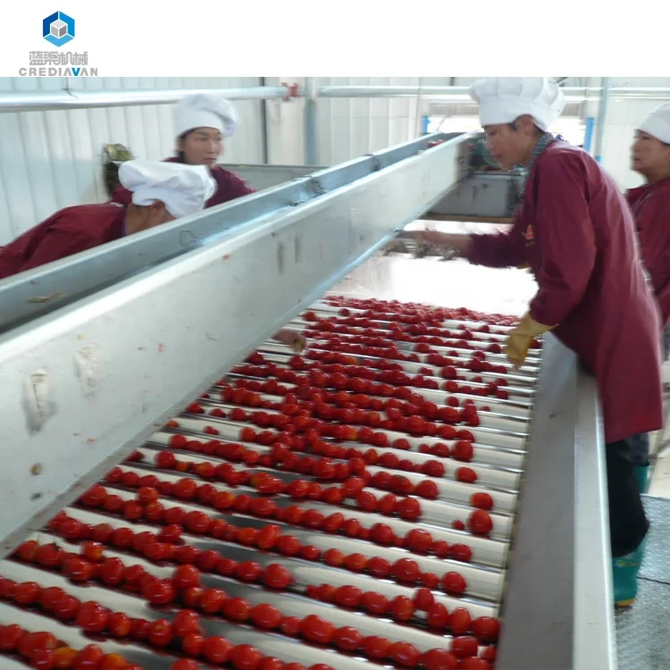 
tomato/pineapple/apricot/strawberry/pawpaw/tangerine/guava stainless steel pulping machine 