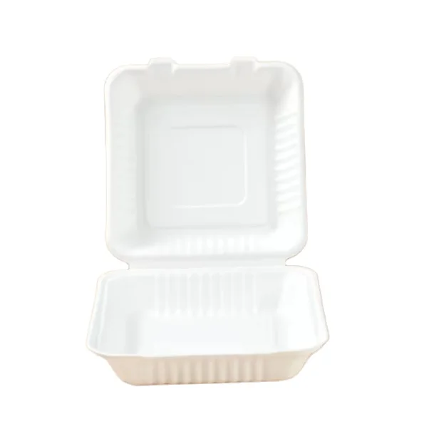 Disposable Bagasse Pulp Food Container Biodegradable Sugarcane Bento Lunch Box With Lid