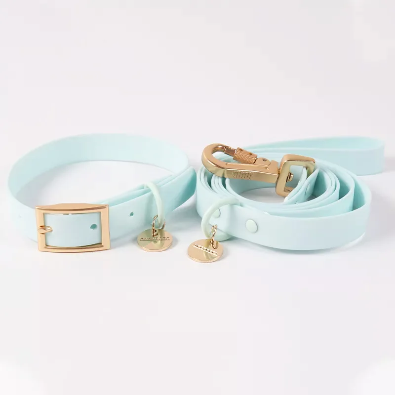 Wholesale High Quality Custom Colors Silicone Coated Webbing Dog Collar PVC Waterproof Dog Collar And Leash