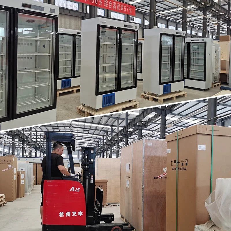 Biobase China J  -60 degree freezer BDF-60H218 LED display 220L Freezer for Laboratory