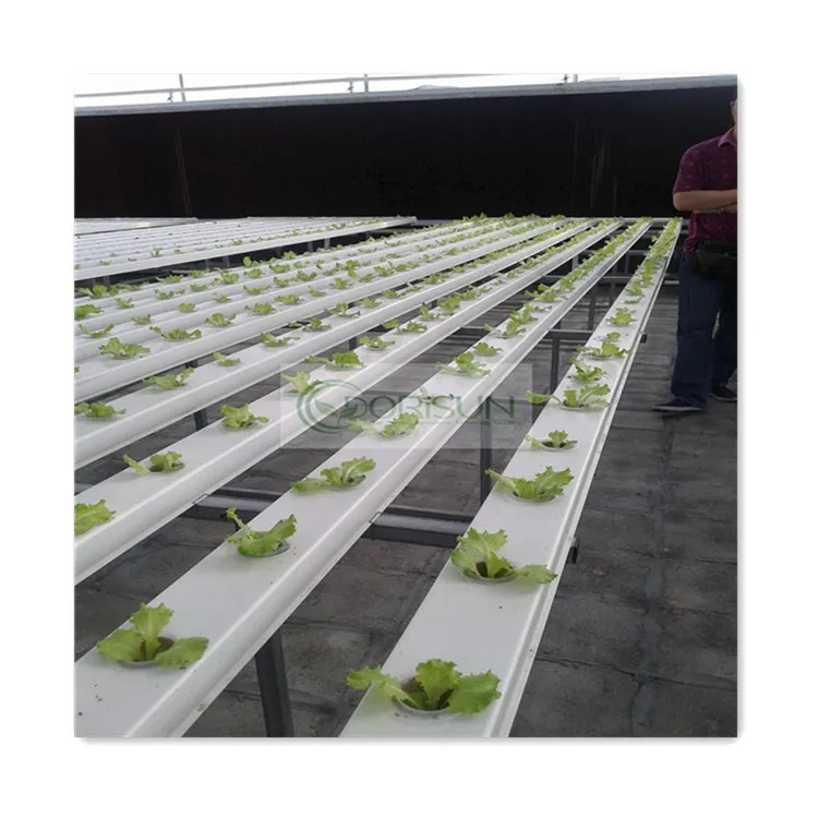 Factory Direct Sale Complete Agricultural Green House Vertical Farm Hydroponics Cucumber Nft System