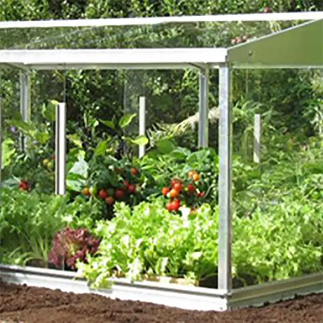 
Work-in or Mini Glass Garden Greenhouse for Family 