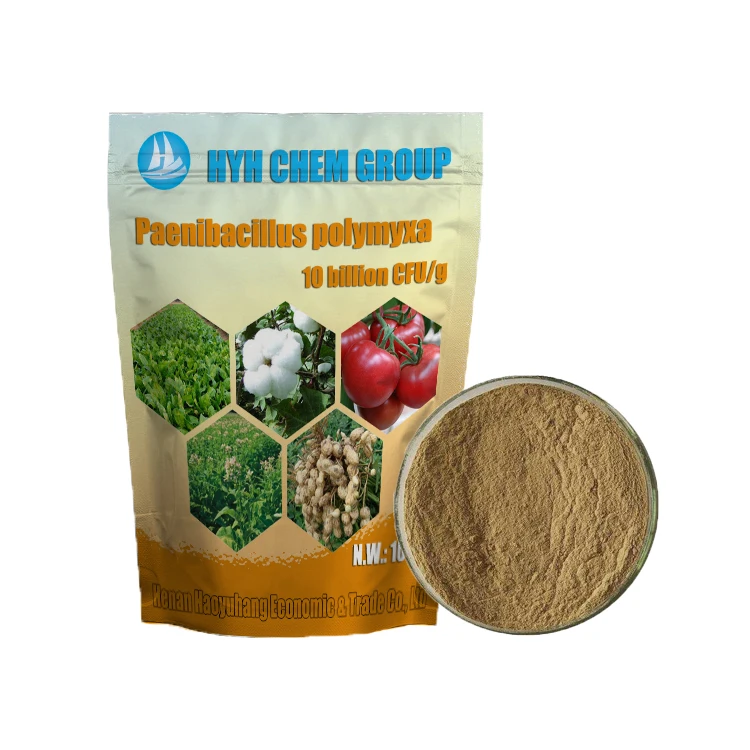 Biocontrol  Paenibacillus polymyxa Microbial inoculants Paenibacillus