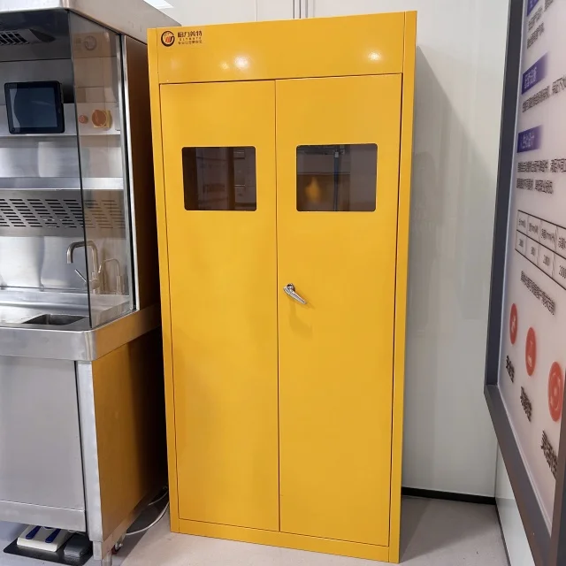 Отличное качество лабораторный стальной шкаф газовые баллоны одноцилиндровый для хранения всех стальных газовых баллонов