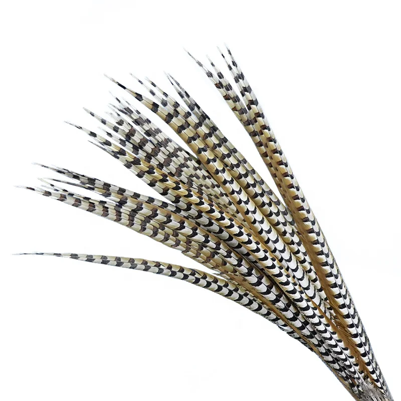 Cheap Large Natural Plumas Reeves Pheasant Tail Feathers 10-150CM for Carnival, Samba, Pattaya performances