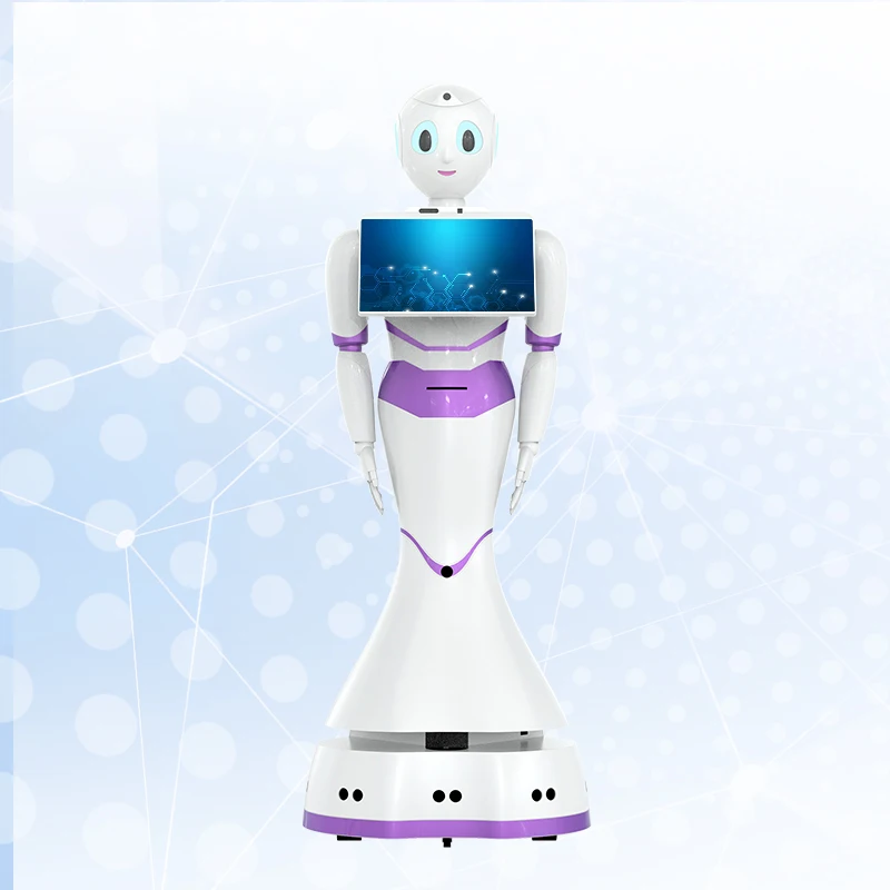 Intelligent Humanoid Robot Walk and Talk for Public Place Reception Guide Service Robot showroom ChatGPT for Voice robot