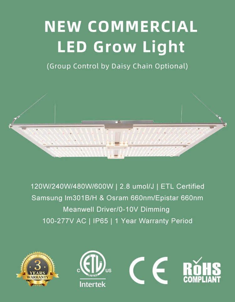 
480Watt growing led lamp China Greenhouse weeds grower led Hydroponic Full Spectrum LED Grow Light 